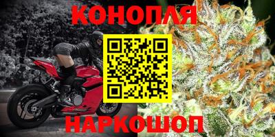 СК Рязань