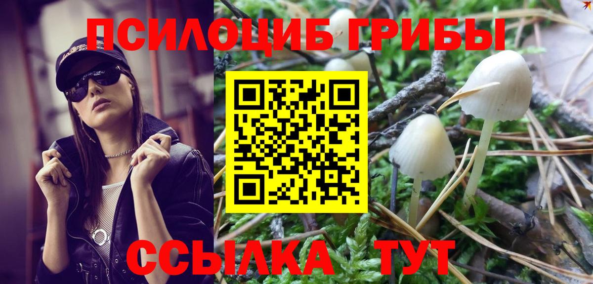 Псилоцибиновые грибы мицелий  Галлюциногенные грибы Psilocybine cubensis  Вход с VPN  Скопин 
